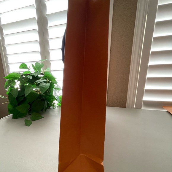 Louis Vuitton Paper Shopping/Gift Bag 19 X 15 X 5 - Picture 5 of 13